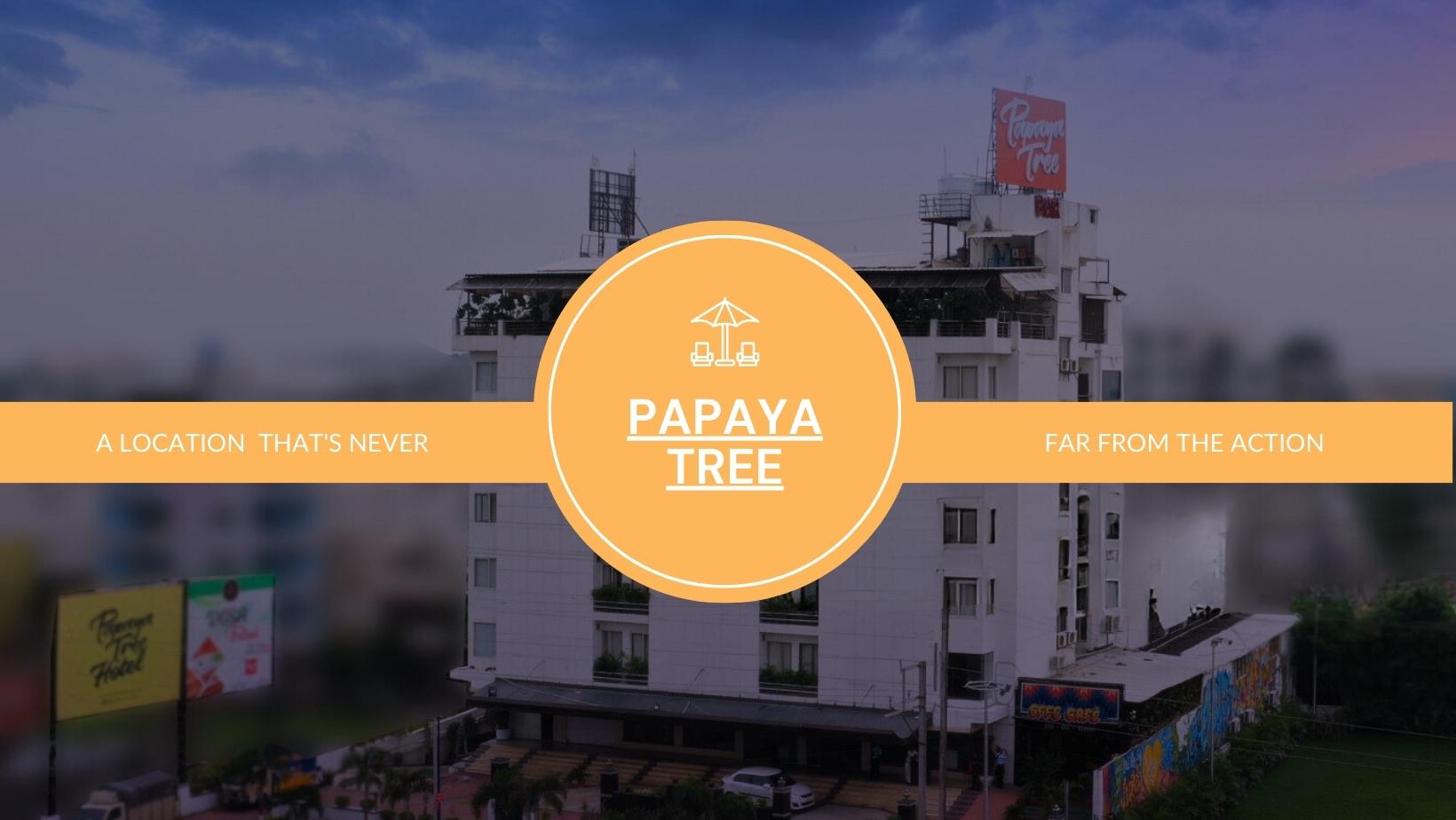 Papaya Tree
