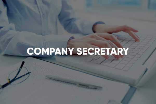 Banner Company Secretary