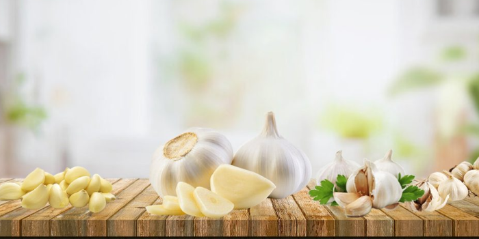 Banner HNS Exim Pvt Ltd