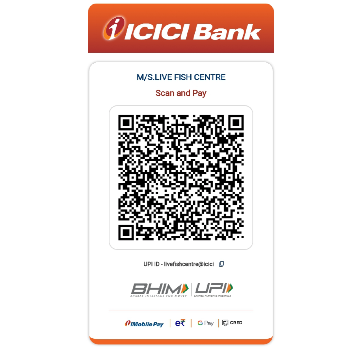 Scan & Pay
