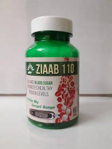 Ziaab 110 (Controls Blood sugar) Easy Herbal Solutions Badi Bhamori