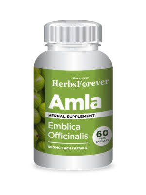 Amla herbal supplements Easy Herbal Solutions Badi Bhamori