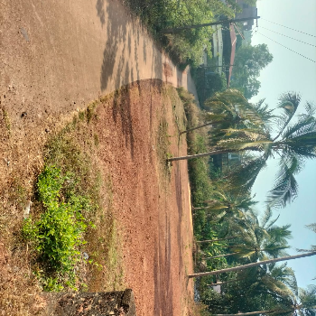 50 cents Land Near Mangala College Paldane For Sale (JONE03)-https://i-media.vyaparify.com/vcards/products/132488/product_1738579046.png Image