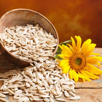 Sunflower seeds-https://i-media.vyaparify.com/vcards/products/151840/product_1740657496_67c0535888946.png Image