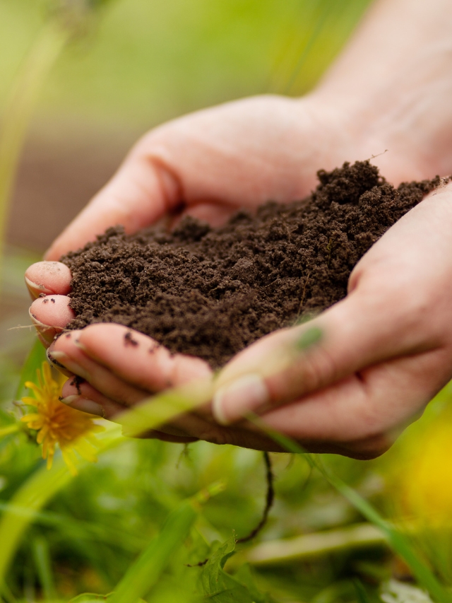 सुपर  जैविक खाद-https://i-media.vyaparify.com/vcards/products/15535/jaivik-khad.jpeg Image