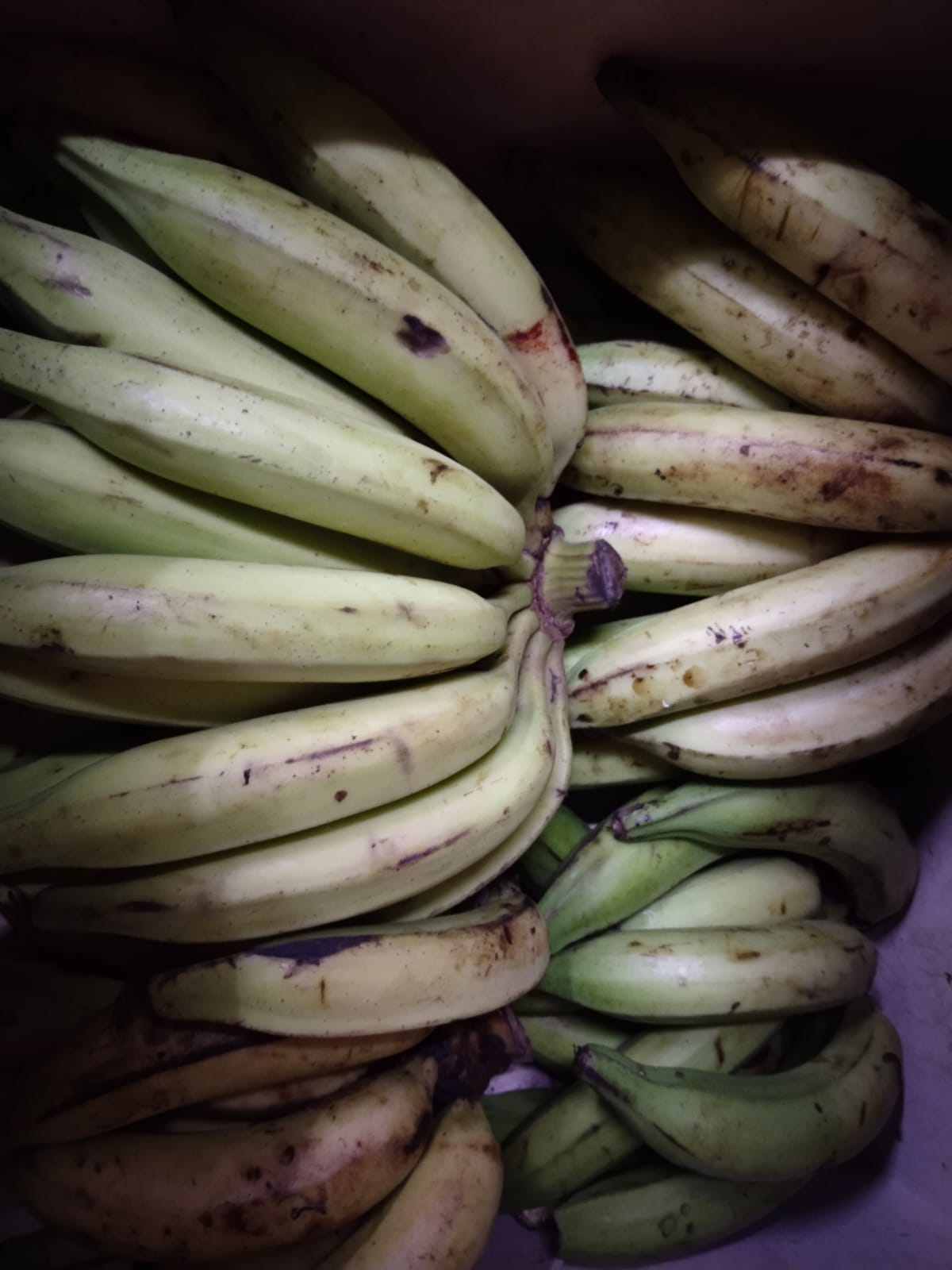 Bananas-https://i-media.vyaparify.com/vcards/products/16045/bananna.jpg Image