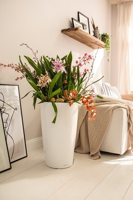 Rondo Premium-https://i-media.vyaparify.com/vcards/products/16140/Rondo-Premium.jpeg Image