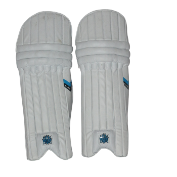 Batiing cage lite vate batting pads-https://i-media.vyaparify.com/vcards/products/172214/product_1742875335_67e22ac721732.png Image