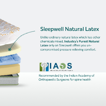 NEW SLEEPWELL PRO SPINETECH CLASSIC 6" 8"-https://i-media.vyaparify.com/vcards/products/172544/product_1742896688_67e27e30bbc74.png Image
