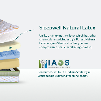 NEW SLEEPWELL PRO SPINETECH PREMIUM 7" 8"-https://i-media.vyaparify.com/vcards/products/172551/product_1742896820_67e27eb49ece6.png Image