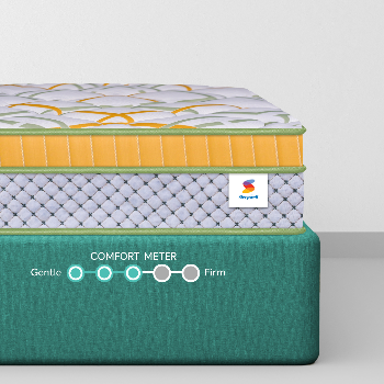 NEW PRO SLEEPWELL SPINETECH LUXURY 8" 10"-https://i-media.vyaparify.com/vcards/products/172556/product_1742896940_67e27f2c2969a.png Image