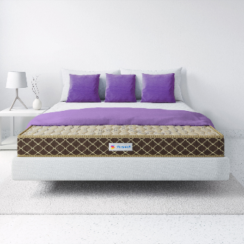 NEW SLEEPWELL PRO FITREST CLASSIC 5" 6"-https://i-media.vyaparify.com/vcards/products/172603/product_1742897828_67e282a44b9d2.png Image