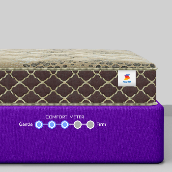 NEW SLEEPWELL PRO FITREST PREMIUM 5" 6"-https://i-media.vyaparify.com/vcards/products/172621/product_1742898069_67e283952df0b.png Image