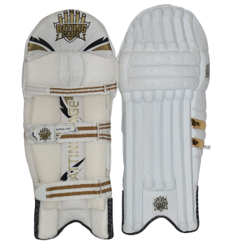 Batiing cage golden edition batting pads-https://i-media.vyaparify.com/vcards/products/173064/product_1742925123_67e2ed4318e5e.png Image