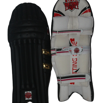 Batiing cage golden edition black batting pads-https://i-media.vyaparify.com/vcards/products/173147/product_1742925452_67e2ee8c9813a.png Image