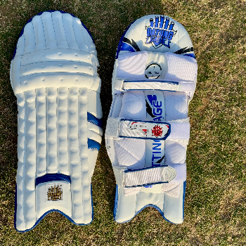 Batiing cage comet armor 2.0 batting pads-https://i-media.vyaparify.com/vcards/products/173204/product_1742926068_67e2f0f443a4b.png Image