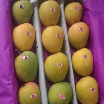 Alphonso 🥭 mango-https://i-media.vyaparify.com/vcards/products/173911/product_1743081601_67e5508178eba.png Image