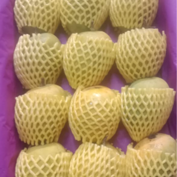 Alphonso 🥭 mango-https://i-media.vyaparify.com/vcards/products/173912/product_1743081601_67e55081b6e0b.png Image
