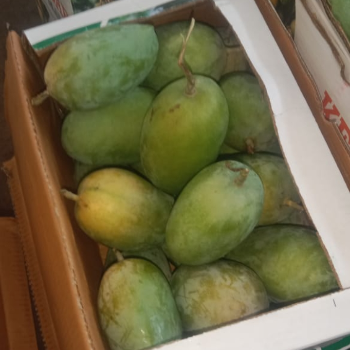 Alphonso 🥭 mango-https://i-media.vyaparify.com/vcards/products/173915/product_1743081602_67e550826170b.png Image