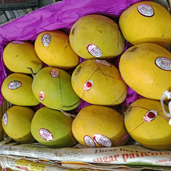 Alphonso 🥭 mango-https://i-media.vyaparify.com/vcards/products/173918/product_1743081603_67e550832601f.png Image