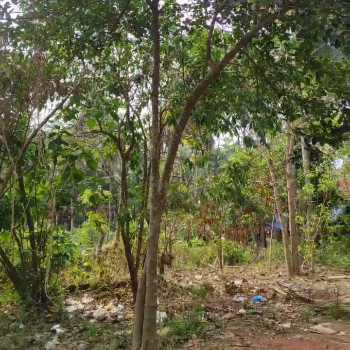 5 And 10 Cents Land For Sale At Yeyyady Junction (ROLD39)-https://i-media.vyaparify.com/vcards/products/174288/product_1743169629_67e6a85de2c42.png Image