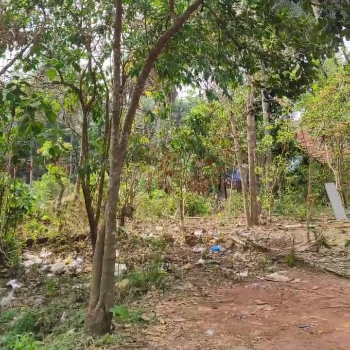 5 And 10 Cents Land For Sale At Yeyyady Junction (ROLD39)-https://i-media.vyaparify.com/vcards/products/174289/product_1743169630_67e6a85e3a56c.png Image