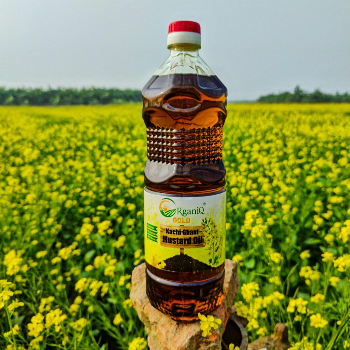 oil Kirana Store Rampur Bhaghelan Word No 09
