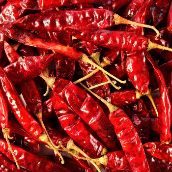 Read chilli