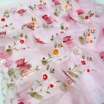 ✨ Handpainted Organza Saree ✨ Draupadi Vastram Clothing Shop Bhugaon Shop No 01, Bhugaon Road,Near Maharashtra Gramin Bank , Bhugaon