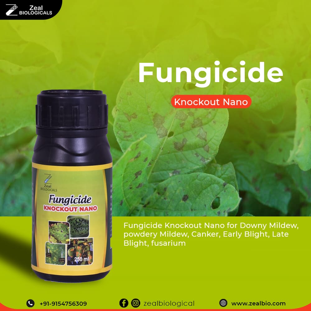 FUNGICIDE - KNOCKOUT NANO-https://i-media.vyaparify.com/vcards/products/20579/1669114886_Knock-out-(3).jpg Image