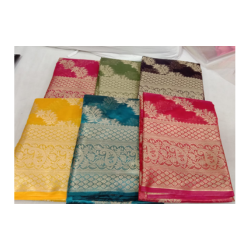 Organza  sarees | Alankrita Boutique | A 42 Silicon City  Rau Opp Health Care Medical