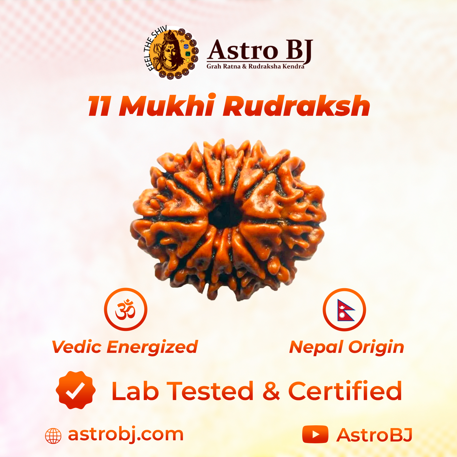 11 Mukhi Nepali Rudraksh-https://i-media.vyaparify.com/vcards/products/239803/product_1747470513_682848b1e4766.png Image