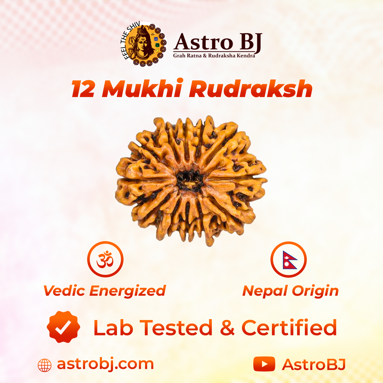 12 Mukhi Nepali Rudraksh-https://i-media.vyaparify.com/vcards/products/239807/product_1747470574_682848ee85ea8.png Image