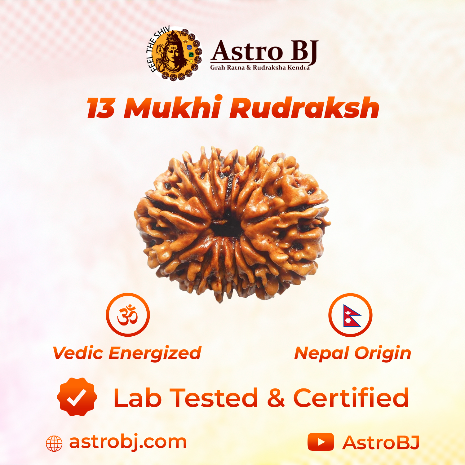 13 Mukhi Nepali Rudraksh-https://i-media.vyaparify.com/vcards/products/239810/product_1747470606_6828490e24d6a.png Image