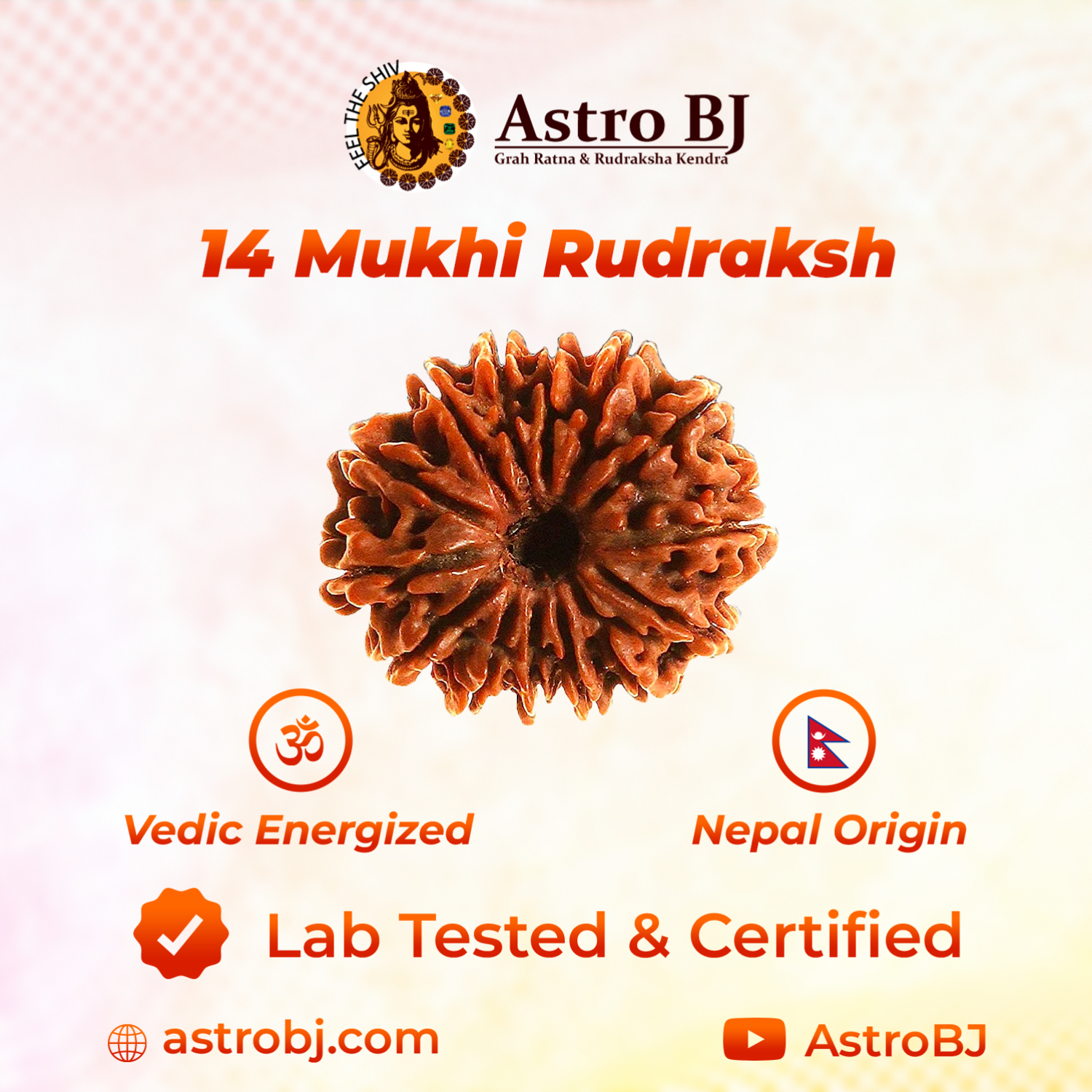 14 Mukhi Nepali Rudraksh-https://i-media.vyaparify.com/vcards/products/239816/product_1747470720_682849806e4e8.png Image