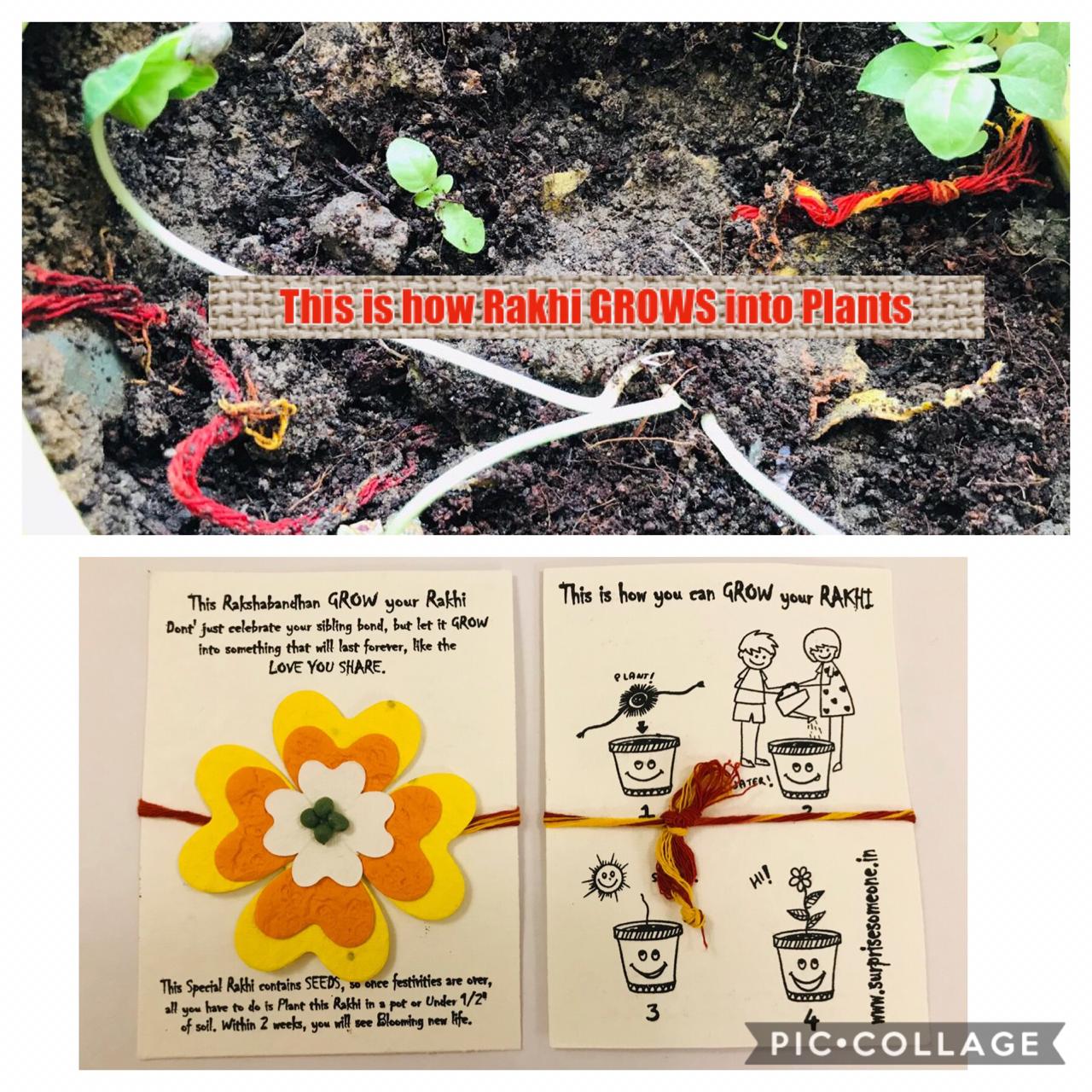 Rakhi collection-https://i-media.vyaparify.com/vcards/products/24756/760be400-d3ed-49c5-bb2e-60b54b1ca3ae.jpg Image