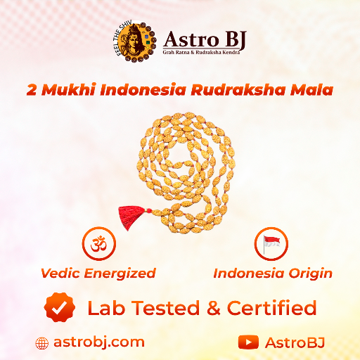 2 Mukhi Indonesia Rudraksha Mala-https://i-media.vyaparify.com/vcards/products/249861/product_1747903704_682ee4d8c8736.png Image