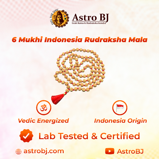 6 Mukhi Indonesia Rudraksha Mala-https://i-media.vyaparify.com/vcards/products/249900/product_1747904544_682ee8205aec5.png Image