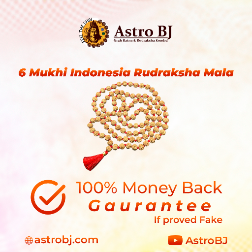 6 Mukhi Indonesia Rudraksha Mala-https://i-media.vyaparify.com/vcards/products/249901/product_1747904544_682ee820a7866.png Image