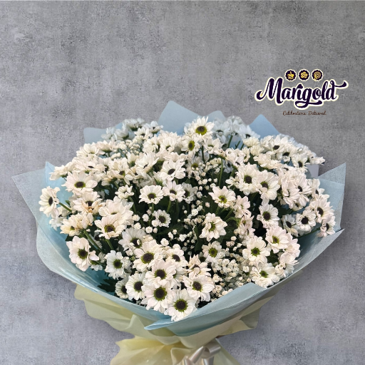 Chrysanthemums with Gypsophila Hand Bunch-https://i-media.vyaparify.com/vcards/products/261599/product_1748414784_6836b140599d5.png Image