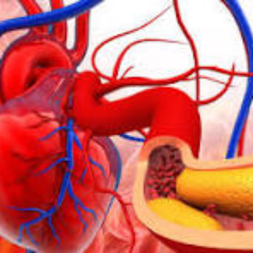 heart blockage-https://i-media.vyaparify.com/vcards/products/284512/product_1749281840_6843ec30af4a6.png Image