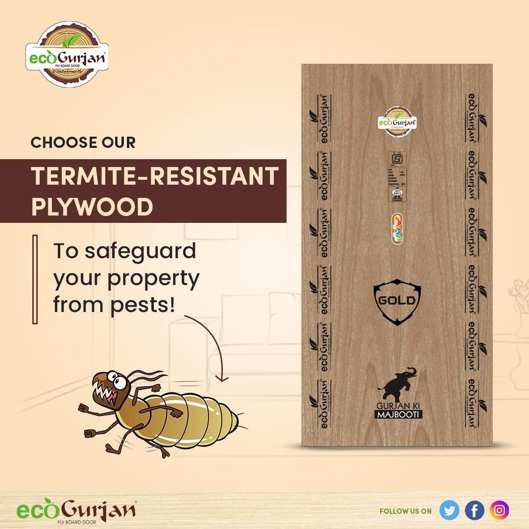 Plywood-https://i-media.vyaparify.com/vcards/products/28884/WhatsApp-Image-2024-02-24-at-13.45.22_6aa4eefb.jpg Image