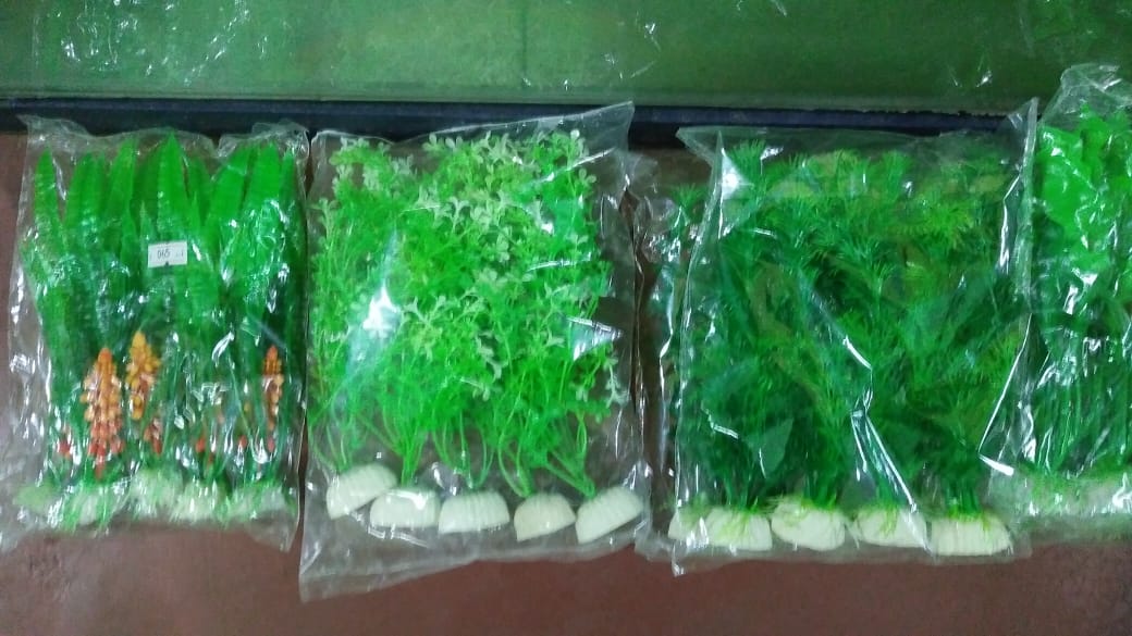 AQUARIUM PLANT | SHANVI FISH AQUARIUM | BENGALI CHOURAHA , KANADIA ROAD , INDORE M.P.