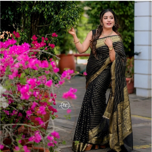 Women's Saree-https://i-media.vyaparify.com/vcards/products/295280/product_1750315335_6853b147ca284.png Image