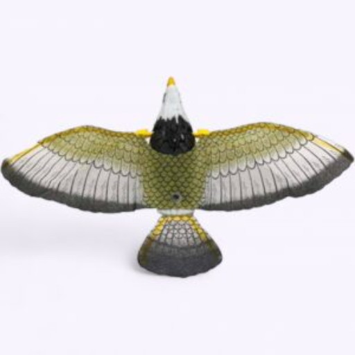 Flying Eagle Action Toy – Realistic eagle motion with flapping wings-https://i-media.vyaparify.com/vcards/products/295746/product_1750339087_68540e0fa2786.png Image