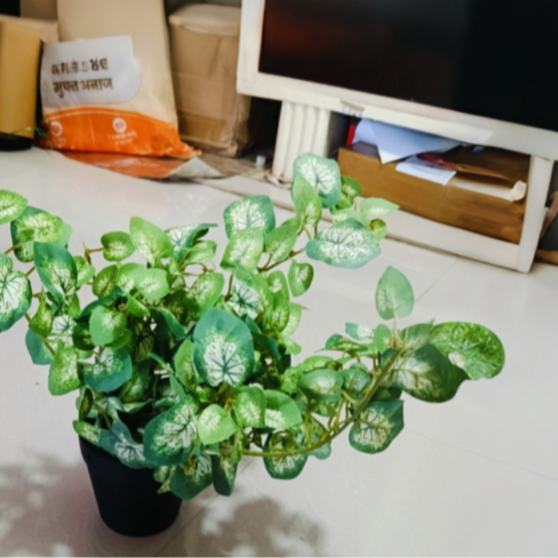 Realistic Artificial Epipremnum Aurem plant,Artificial plant with pot-https://i-media.vyaparify.com/vcards/products/296262/product_1750449211_6855bc3be47ca.png Image
