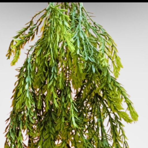 artificial hanging plant, pine vine or fern-https://i-media.vyaparify.com/vcards/products/296695/product_1750518253_6856c9ed54723.png Image