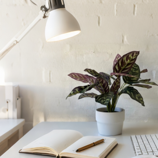 Artificial Calathea Plant-https://i-media.vyaparify.com/vcards/products/296702/product_1750518782_6856cbfe2246a.png Image