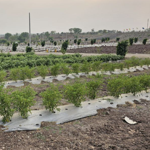 FARMHOUSE PLOTS FOR SALE :- SHIRUR, PUNE-https://i-media.vyaparify.com/vcards/products/297300/product_1750783164_685ad4bc1d48e.png Image