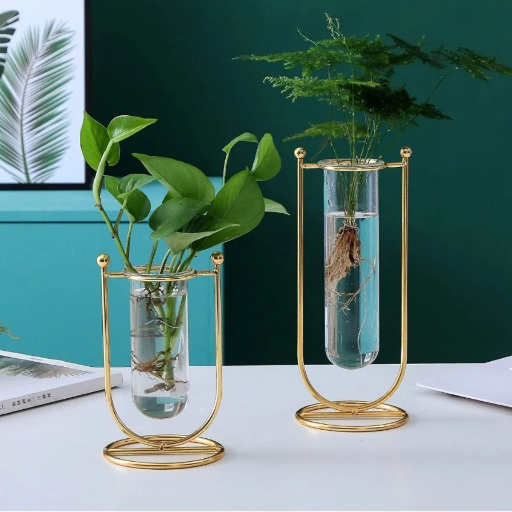  Enhance your space with our Table Top Money Plant With Testube MISTY TWENTY TWENTY H.NO- 02070225A BHAGWATI KUTI KATGHAR ROAD OPP SOURABH BOOK DEPO KATGHAR MEHBULLA GANJ MORADABAD 244001